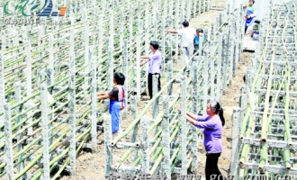 印江食用菌園區(qū)帶動6000余農(nóng)戶致富 ()