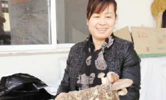 石余鳳：把香菇出口到美國加州 ()