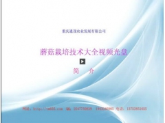 蘑菇栽培技术大全图1