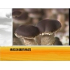 平菇香菇金针菇种植系列技术