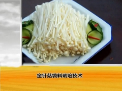 平菇香菇金针菇种植系列技术图2