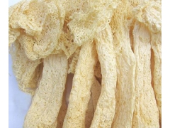 长期收购各类食用菌和稀有菌(干货)图1