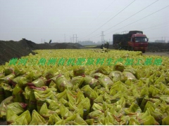 哪里供应的有机肥原料最好图1