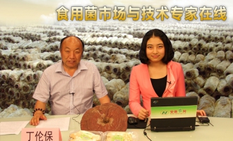 丁倫保做客“專家在線” 講解食用菌栽培、管理技術(shù) ()