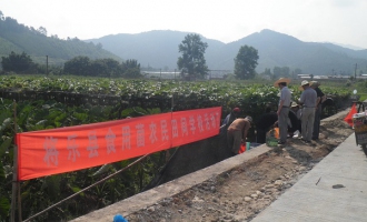 將樂縣開展食用菌農(nóng)民田間學(xué)校活動(dòng)日 ()
