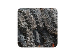 海鲜礼品的主要特点图1