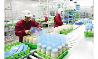 海峽兩岸農(nóng)業(yè)硅谷食用菌產(chǎn)業(yè)園一期項(xiàng)目年產(chǎn)值達(dá)2億多元 ()