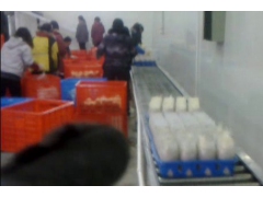 牛肝菌输送设备图1