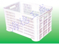 食用菌蘑菇金针菇杏鲍菇等专用塑料采摘周转筐轻便框图1