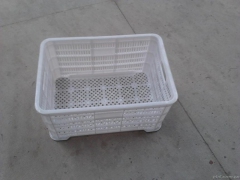 食用菌蘑菇金针菇杏鲍菇等专用塑料采摘周转筐80斤大筐图1