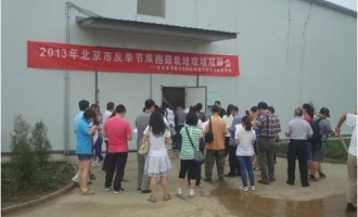 北京：觀摩雙孢菇反季節(jié)栽培 學(xué)習(xí)先進(jìn)生產(chǎn)技術(shù) ()