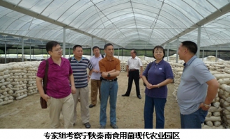 陜西省微生物所參與國家人社部專家組赴陜南開展食用菌科技服務(wù)活動 ()
