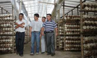 柳州市農(nóng)科所科技人員到柳城進(jìn)行食用菌生產(chǎn)技術(shù)指導(dǎo) ()