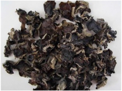 黑龙江黑木耳图1