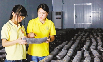 農(nóng)學(xué)女博士為食用菌企業(yè)問診開藥方 ()