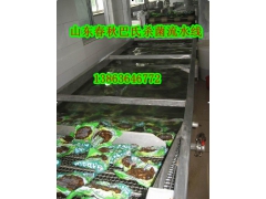 蘑菇食用菌巴氏杀菌流水线13863646772图2