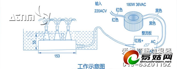 爱特诺玛聚能超声波雾化器