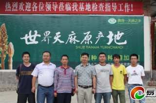 易菇網(wǎng)總裁張升明一行赴云南昭通考察天麻產(chǎn)業(yè)發(fā)展?fàn)顩r ()