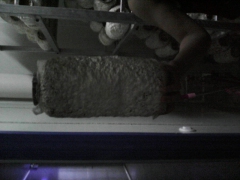 有2500个菌包需要出售。图1