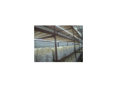 供应LED食用菌贴片灯带图2