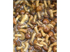 盐渍滑子菇图1