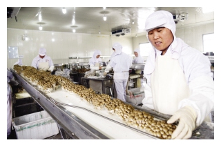 天津雙街食用菌基地食用菌每天上市量可達(dá)20噸 ()