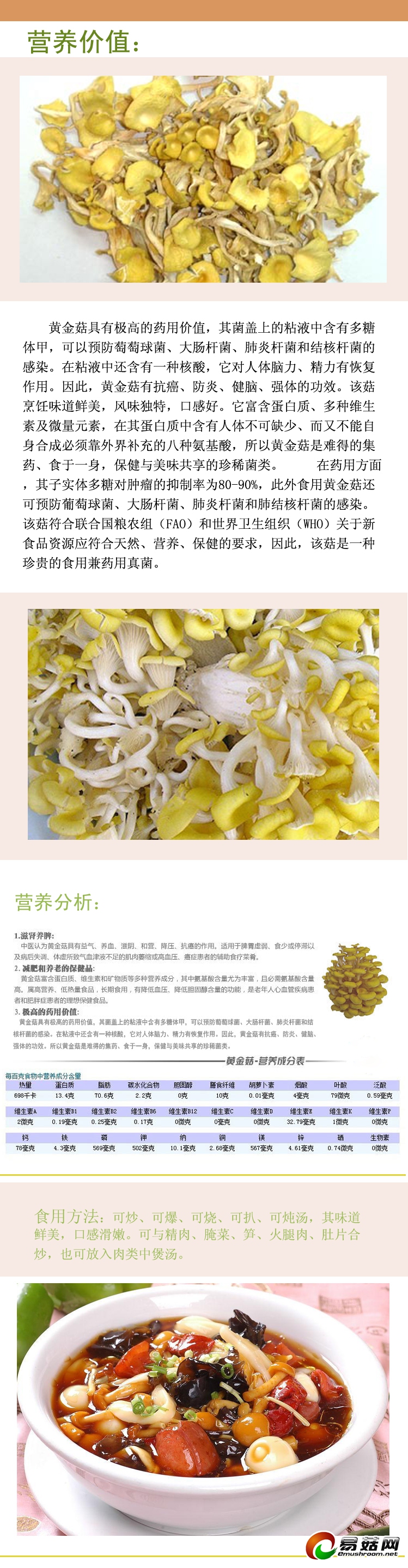 食用菌系列—黄金菇-2