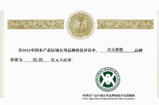 “慶元香菇”品牌價(jià)值45億元 名列全國(guó)食用菌類品牌首位 ()