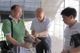 中國(guó)食用菌協(xié)會(huì)常務(wù)副會(huì)長(zhǎng)高茂林一行到北京通州區(qū)綠源永樂(lè)食用菌高科技產(chǎn)業(yè)園調(diào)研 ()