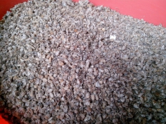 供应双孢菇菌种,草菇菌种图3