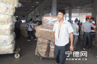 2013年上半年古田縣食用菌總產(chǎn)量37.7萬(wàn)噸產(chǎn)值18.7億元 ()