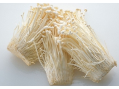 河北承德供应鲜品双孢菇、金针菇图2