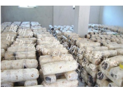 花菇菌棒  秋栽菌筒  香菇菌棒图1