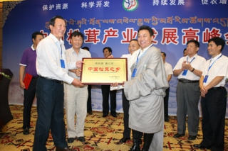 2013年中国松茸产业发展高峰会在四川成都召开