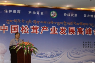 2013中国松茸产业发展专题研讨会在四川成都举行