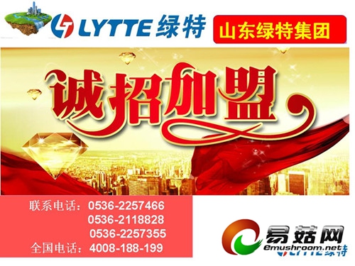 绿特营销代理政策_副本