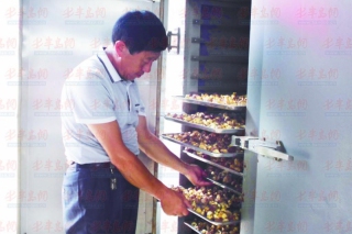 馬百河種植姬松茸帶領(lǐng)百姓發(fā)家致富 ()