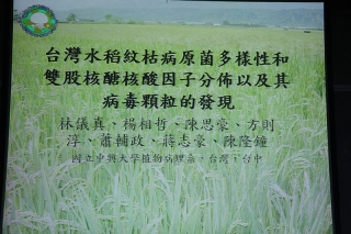 主题报告：陈隆钟，台湾水稻纹枯病原菌多样性和双股核醣核酸因子分布以及其病毒颗粒的发现 (3)