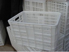 生产批发塑料筐子的厂家图1