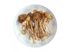 供应野生茶树菇 厂家批发 茶树菇价格 茶树菇礼盒图2