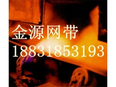 安平金源不锈钢输送带批发，耐磨损输送带，耐高温输送带图3