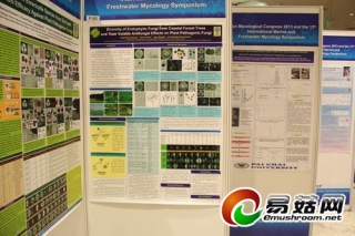 圖文并茂的菌物學(xué)論文海報展示 ()