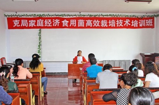 克局舉辦家庭經(jīng)濟(jì)食用菌高效栽培技術(shù)培訓(xùn)班 ()