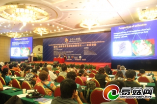 藥用蕈菌——中國工程院國際工程科技發(fā)展戰(zhàn)略高端論壇在北京舉行 ()