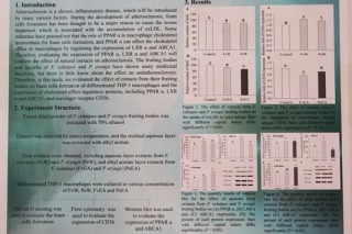 IMMC7论文海报(P2)