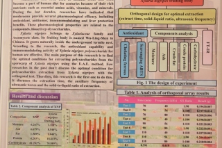 IMMC7论文海报(P6)