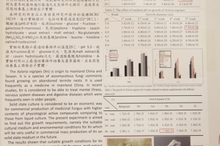 IMMC7论文海报(P18)