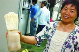 光明食品集團(tuán)建起華東最大食用菌基地 ()