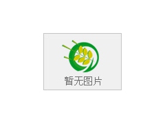 采购木耳