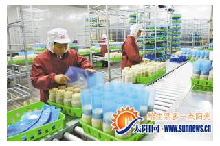 漳浦農(nóng)業(yè)硅谷現(xiàn)代化生產(chǎn)高端食用菌 ()